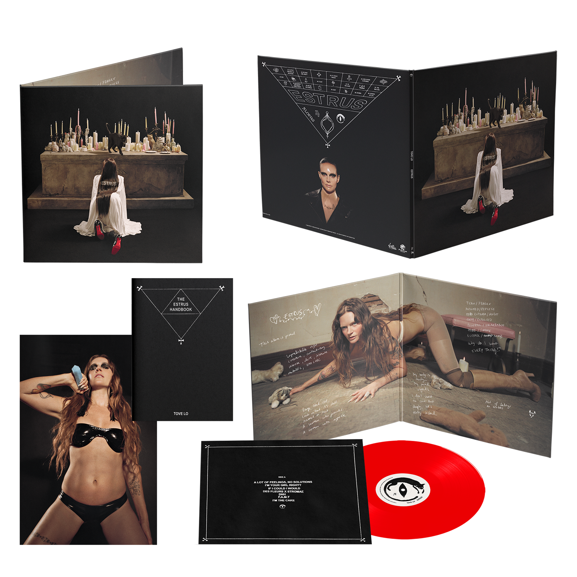 0426ToveLo-VinylLP-Mock1-D2CExclusivevin
